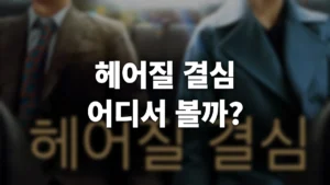 헤어질 결심 영화 OTT
