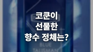 코쿤 향수
