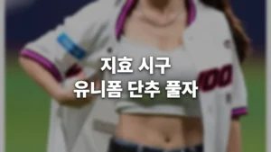 지효 시구