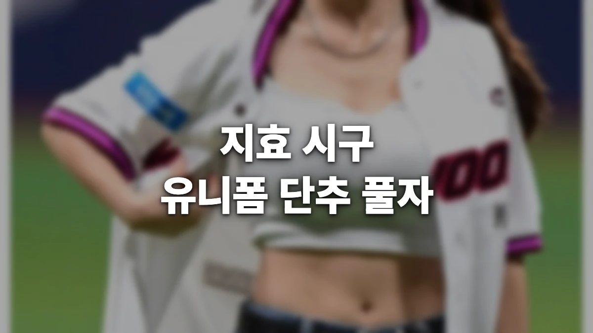 지효 시구