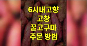 6시내고향 고창 꿀고구마