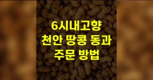 6시내고향 천안 땅콩 동과 주문