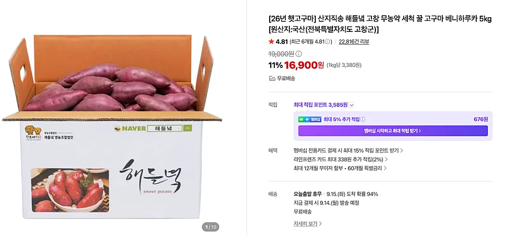 꿀고구마 베니하루카