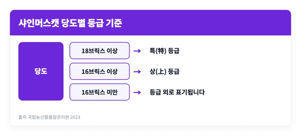 샤인머스캣의 당도가 몇 브릭스인지에 따라 특등급과 상등급으로 갈리는 농산물 표준규격 기준을 정리한 이미지