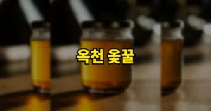6시내고향 옥천 옻꿀 주문