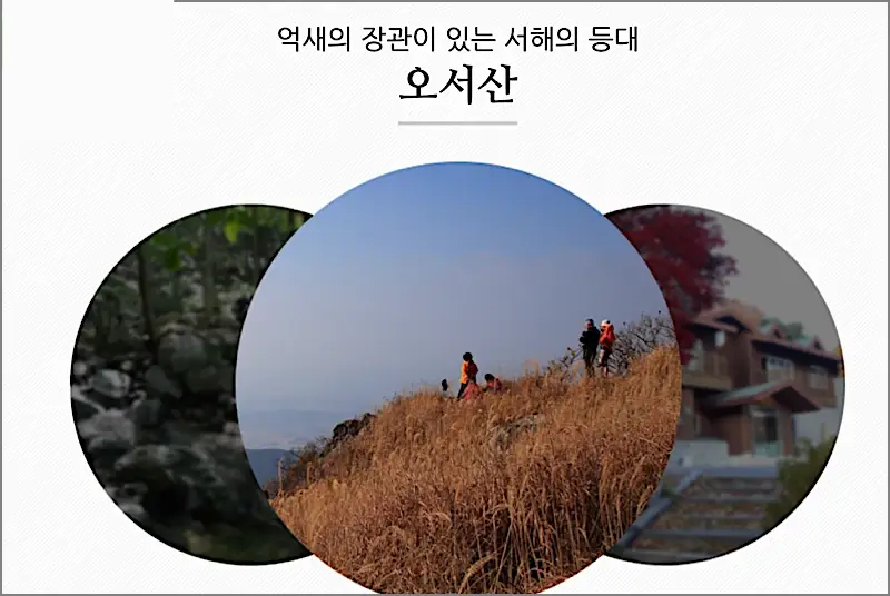 오서산