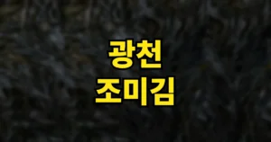 6시내고향 광천 조미김